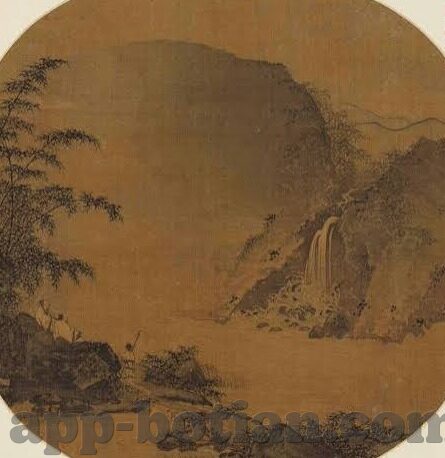足球即时比分阿联酋-足球即时比分阿联酋，绿茵场上的实时脉动与激情碰撞