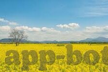 足球手机足球比分-足球迷的掌中宝，足球手机APP如何重塑比分追踪新体验